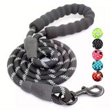 Reflective Dog Leash with Padded Comfort Grip