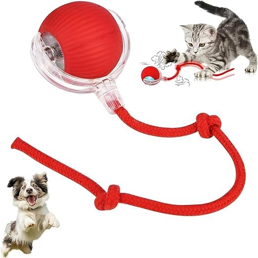 USB Rechargeable Interactive Cat Training Ball