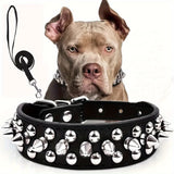 Adjustable Leather Spiked Dog Collar Set