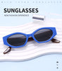 Color-Match Cat Eye Sunglasses for Women – Trendy Small Frame Fashion Shades