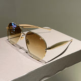 2025新款时尚金属双梁蛤蟆墨镜潮流素颜街拍百搭太阳眼镜男女同款