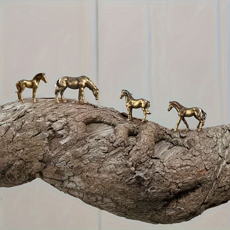 image5