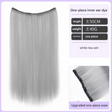 Highlighted Straight Hair Extensions – Seamless Colorful Braided Wig for Women - 50cm Long