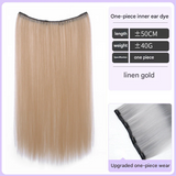 Highlighted Straight Hair Extensions – Seamless Colorful Braided Wig for Women - 50cm Long