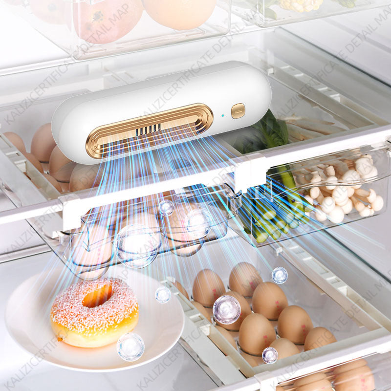 Cross-Border Refrigerator Deodorization Artifact Household Ozone Bacteria Deodorization and Preservation to Remove Odor Ozone Disinfection Air Purifier