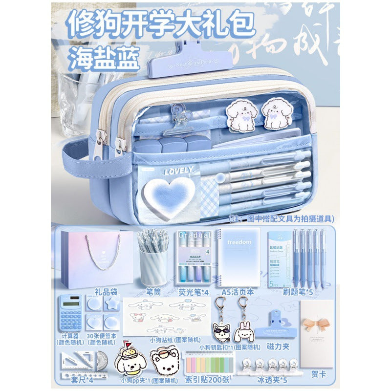 Super Popular Boys and Girls Large-Capacity Junior High School Students and Primary School Students Pencil Stationery Box Transparent Stationery Bag Ins Style Pencil Bag