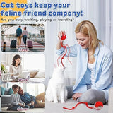 USB Rechargeable Interactive Cat Training Ball