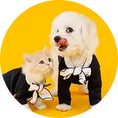 Pet Apparel