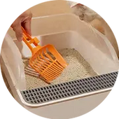 Pet Cleaning