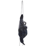 17 Inch Realistic Hanging Dead Crows Decoy Lifesize Extra Large Black Feather Scare Deterrent Crow