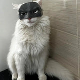 Halloween Bat Cat Mask – Black PLA Cosplay Pet Costume Accessory for Cats