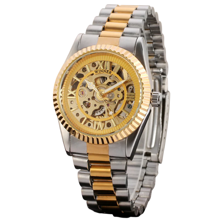 T-Winner Men's Gold Mechanical Watch – Luxury Skeleton Self-Winding Men’s Watch