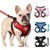 Comfortable Mesh Dog Harness  Leash Set  Breathable Reflective Adjustable for Safe Walking  Perfect for Puppies and Small Dogs